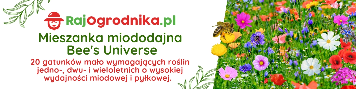 Mieszanka roślin miododajnych Bee's Universe nasiona Łąka kwietna TORAF baner sklep rajogrodnika